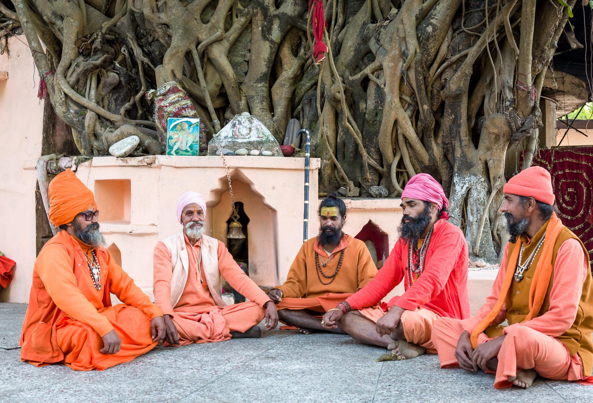 Sadhus at a Banyan tree