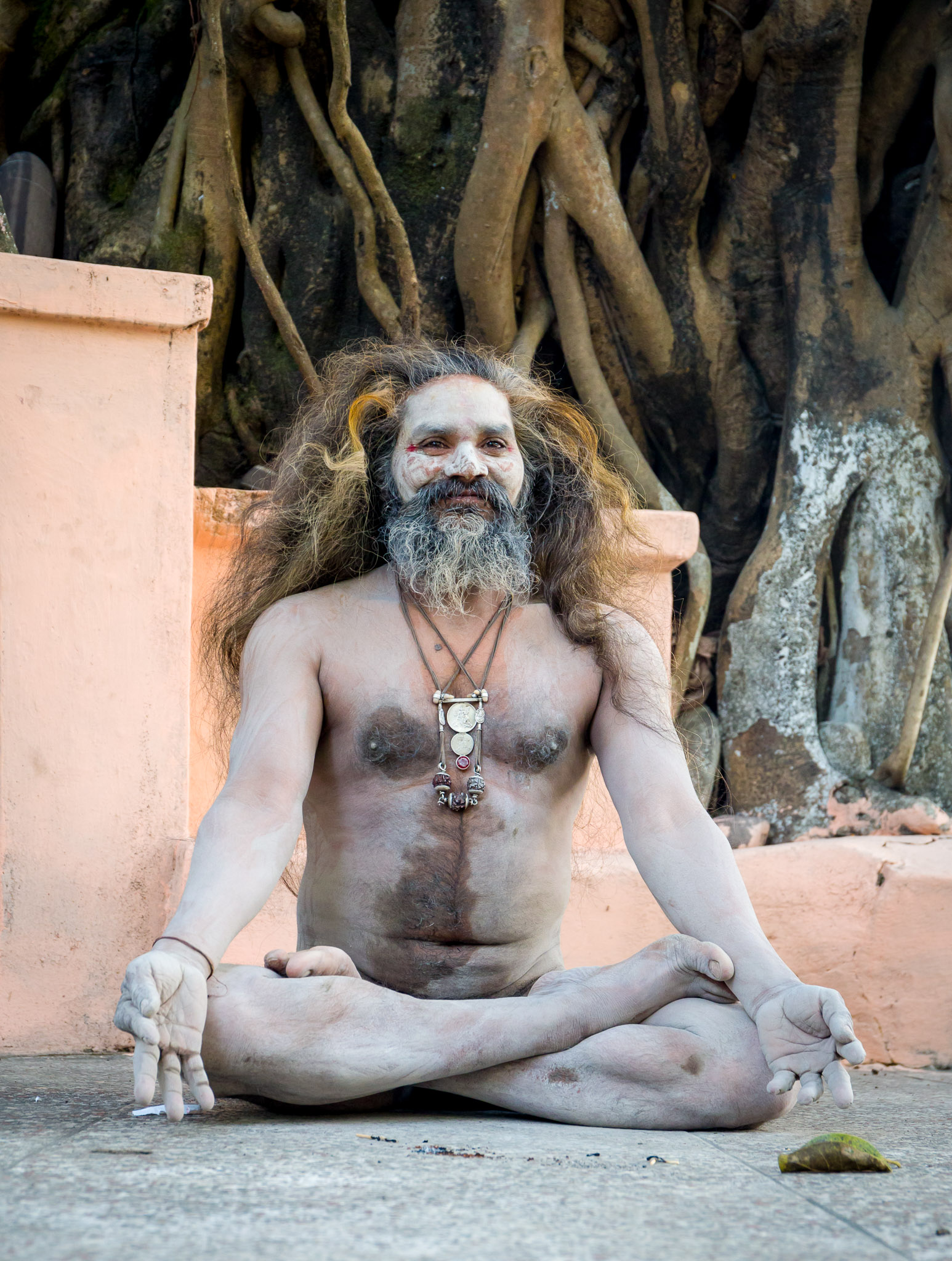 Sadhu at a Banyan tree