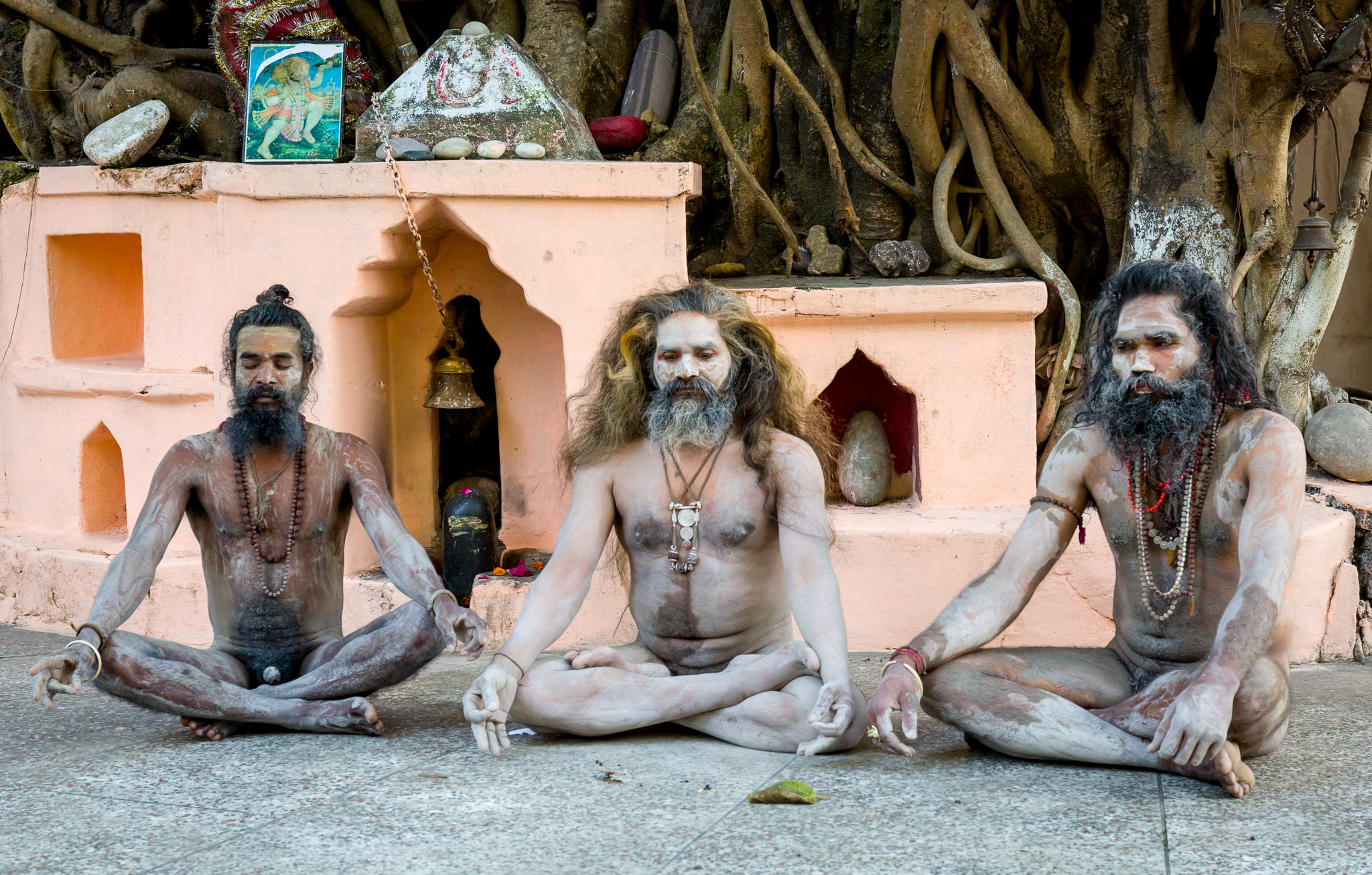 Sadhus at a Banyan tree