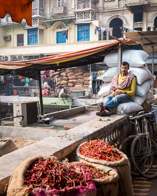Old Delhi's Spice Market
