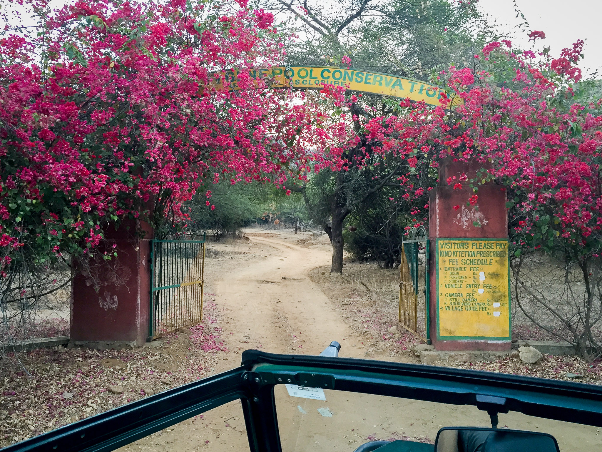 Ranthambore north gate