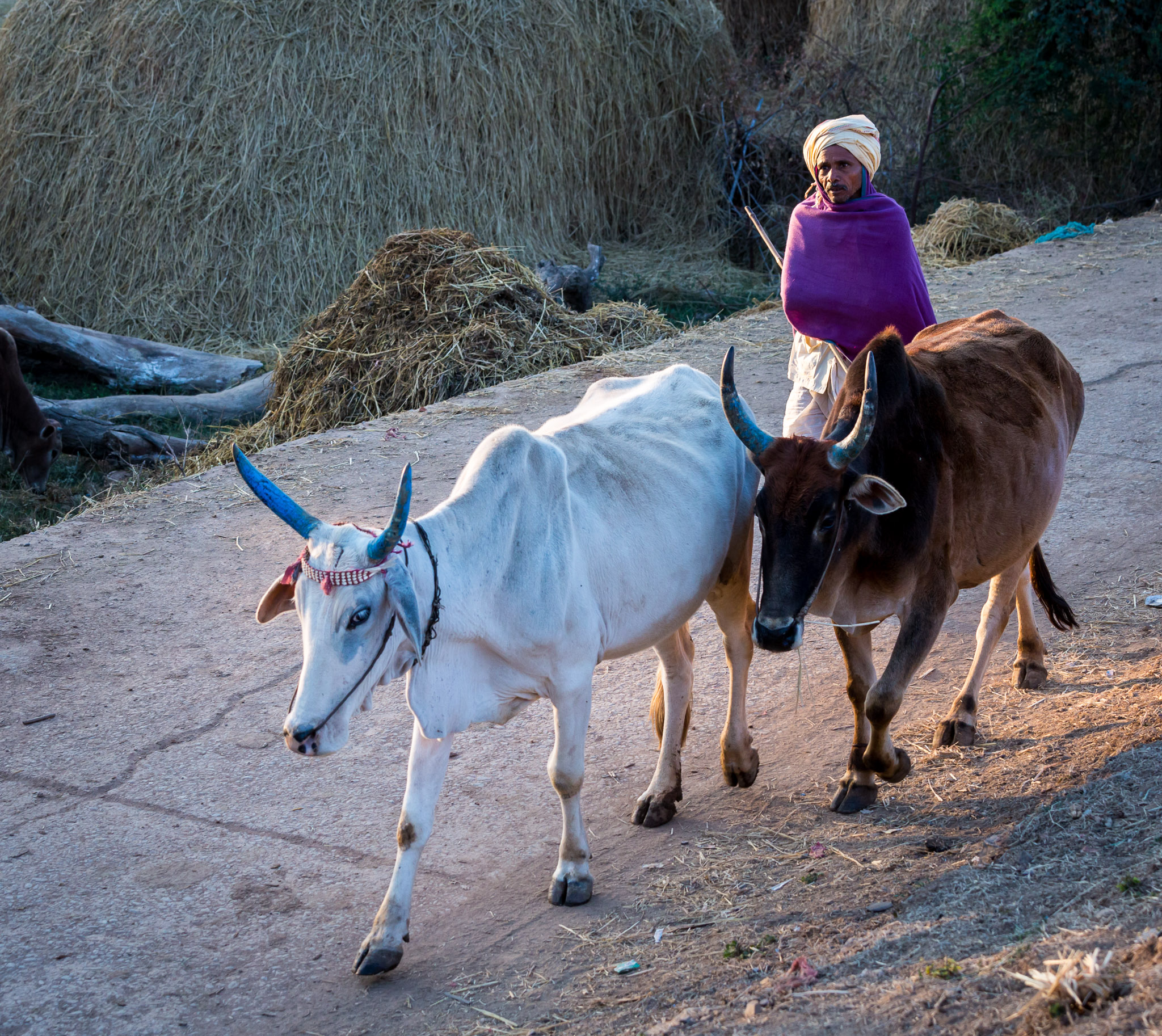 Lata Village, Chhattisgarh