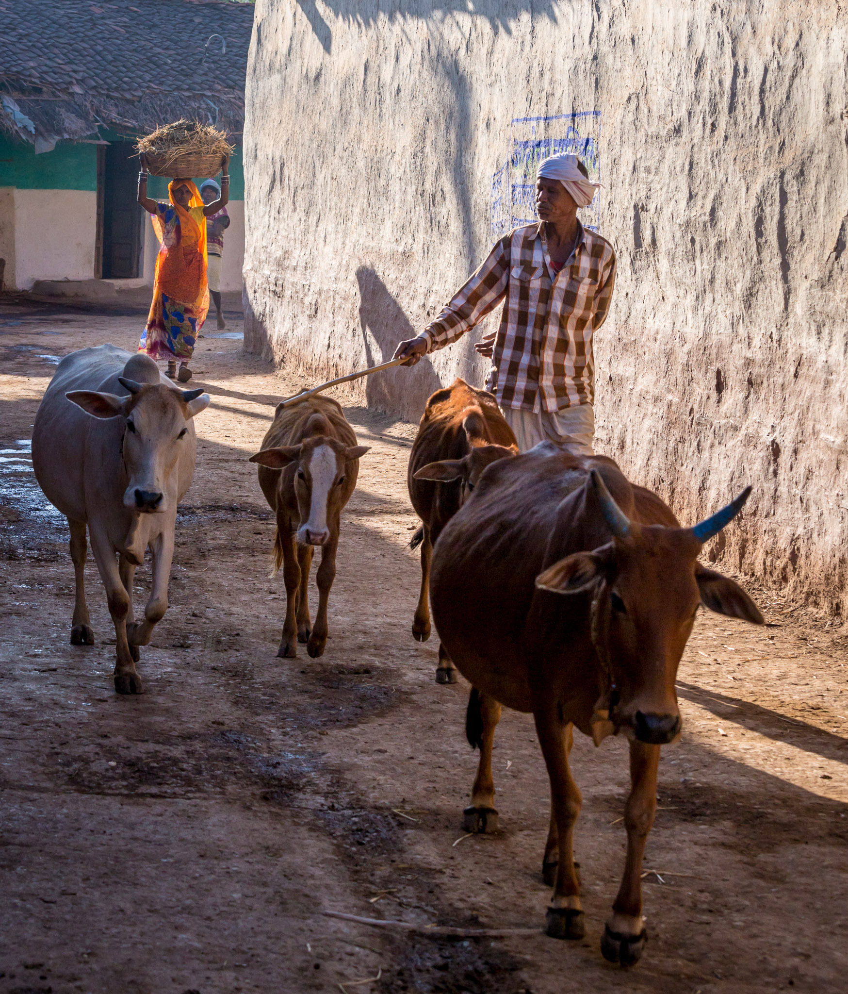 Lata Village, Chhattisgarh