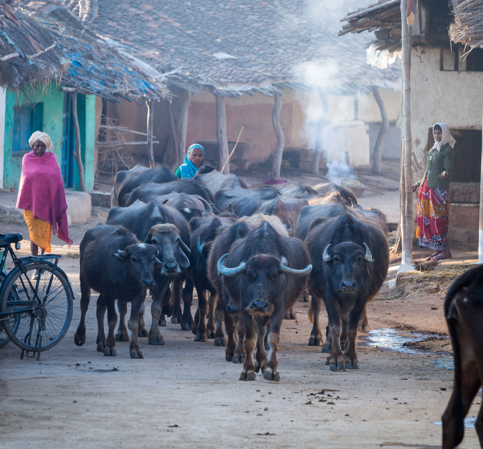 Lata Village, Chhattisgarh