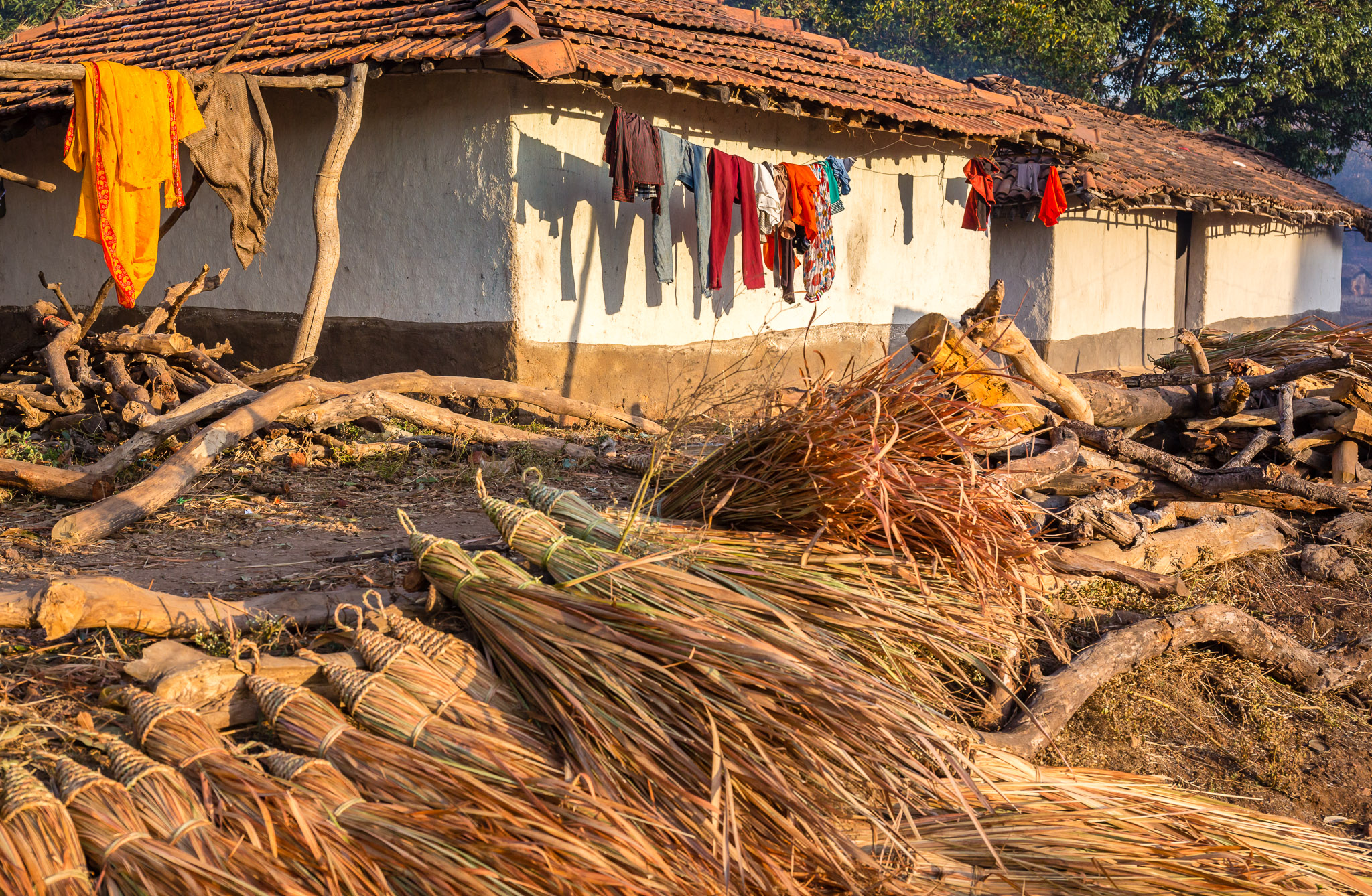 Duldula Village, Chhattisgarh