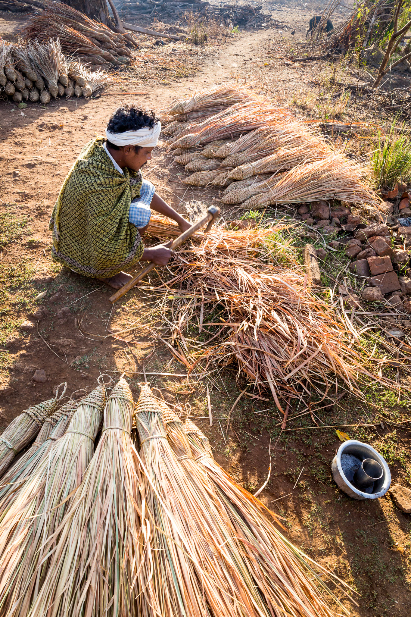 Duldula Village, Chhattisgarh