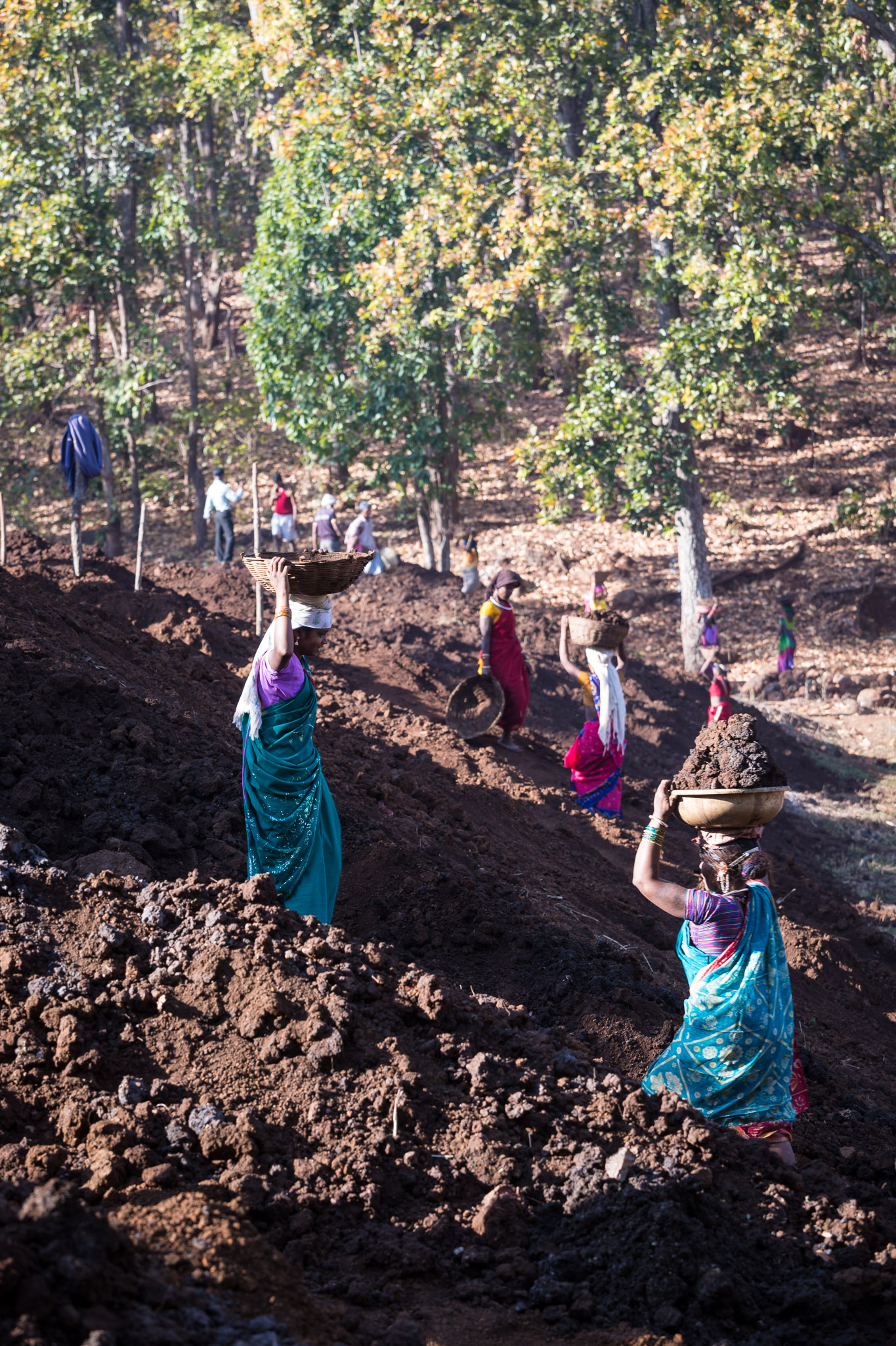 Dam building, Duldula Village, Chhattisgarh