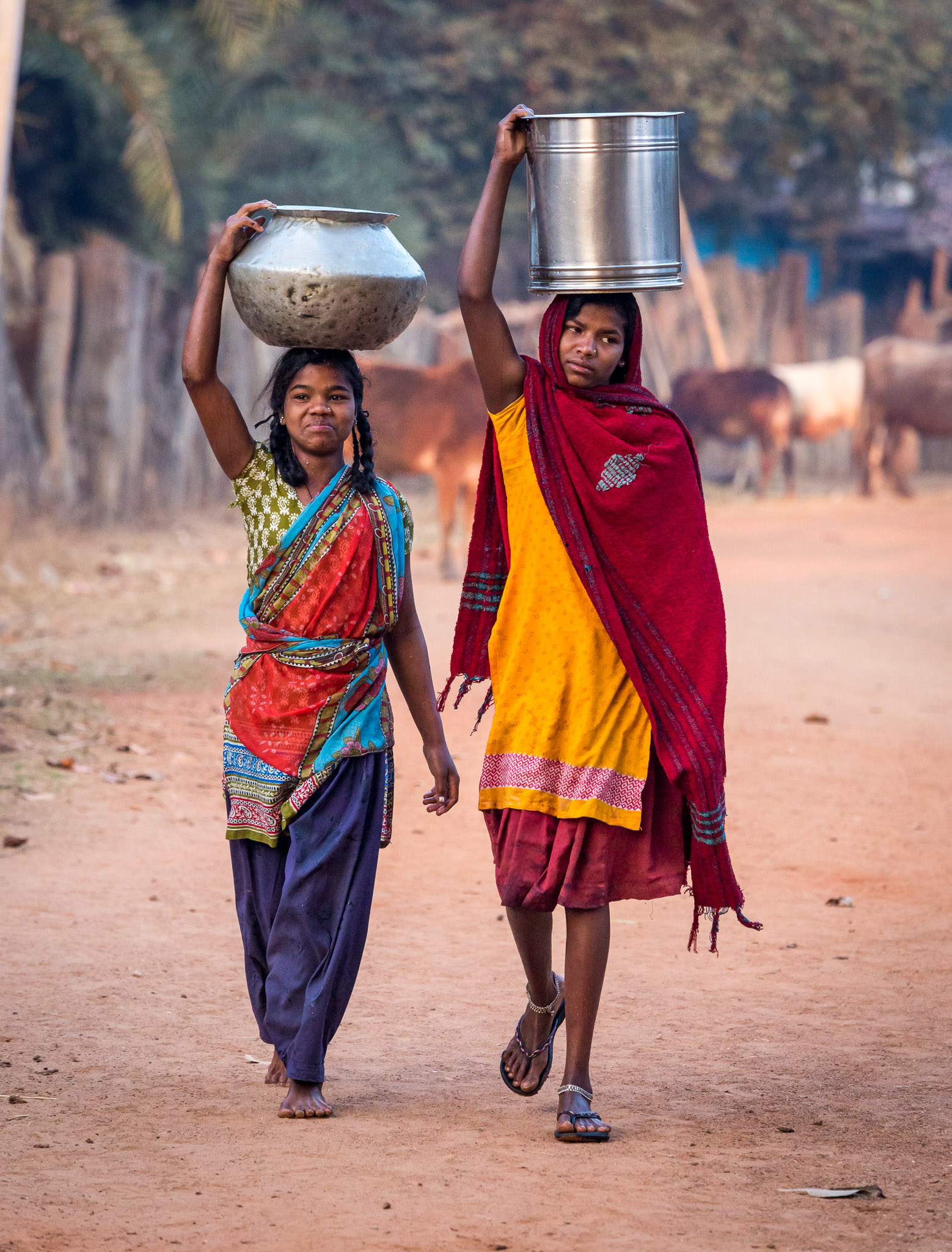 Muria Village, Chhattisgarh