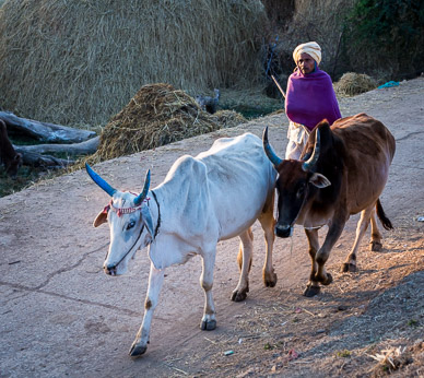 Lata Village, Chhattisgarh
