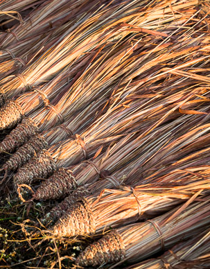 Duldula Village, Chhattisgarh