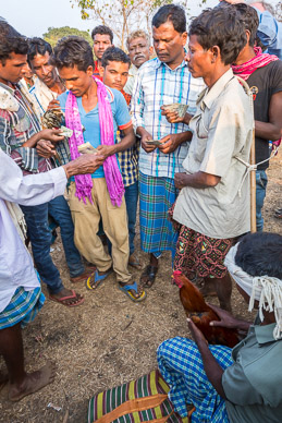 Settling up after cock fight