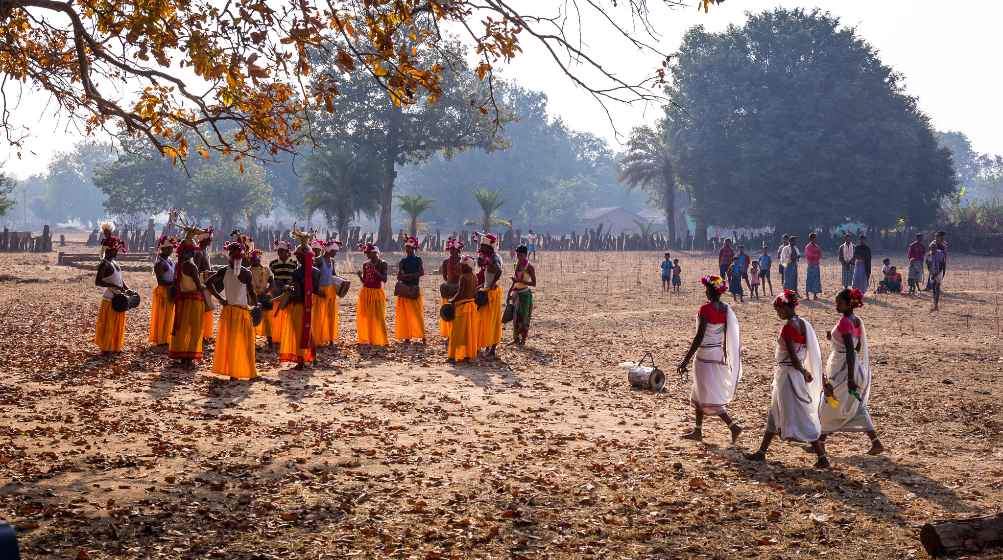 Gonds Karma tribal dance (Antler Horn) in Muria