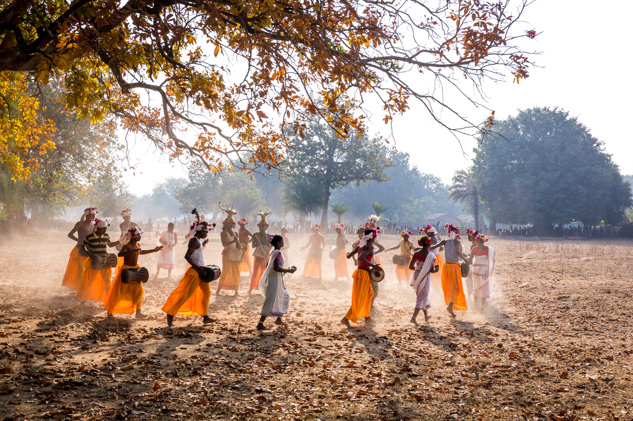 Gonds Karma tribal dance (Antler Horn) in Muria