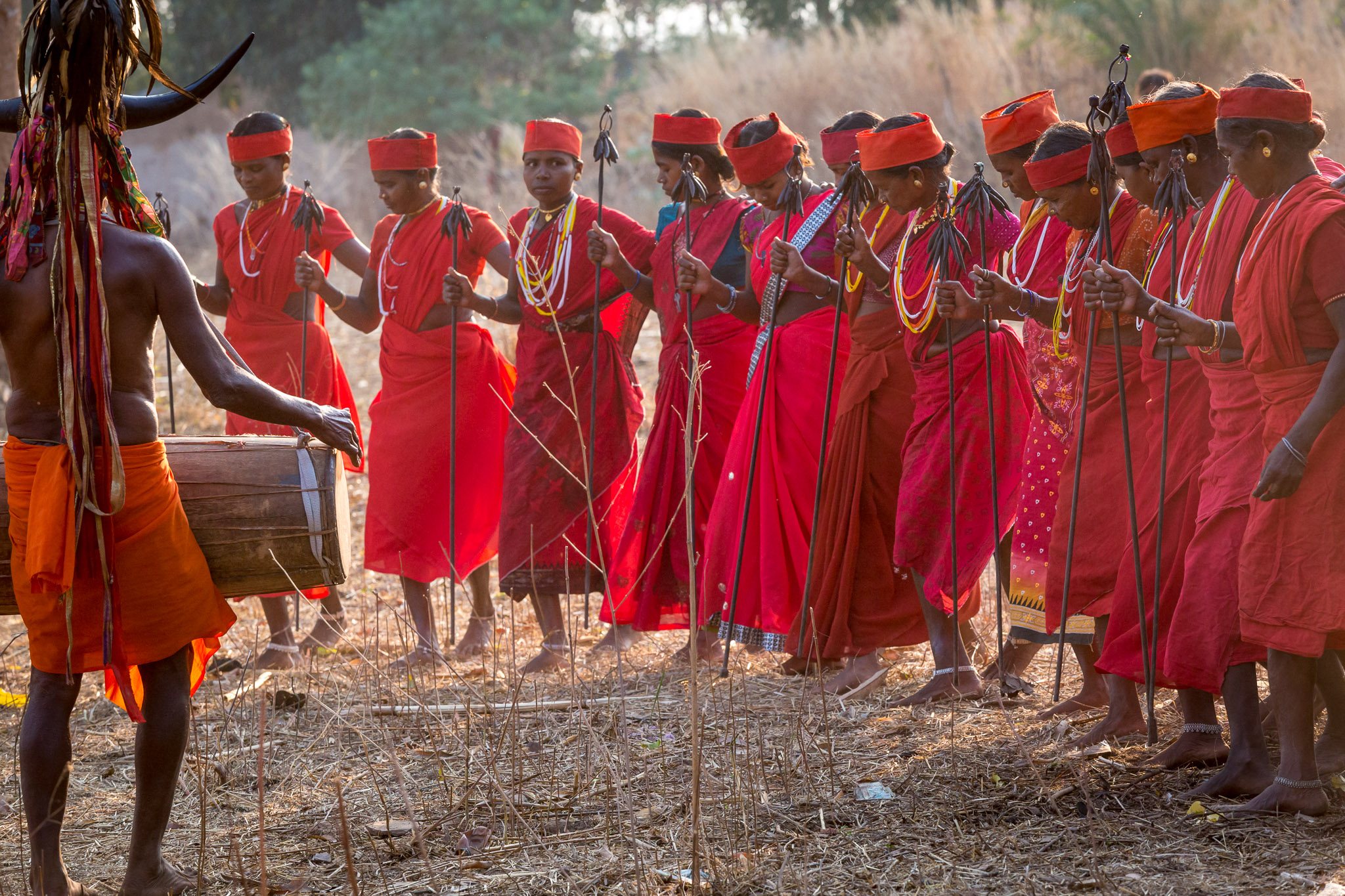 Gaur Maria (Bison Horn) tribal dance in Nainar