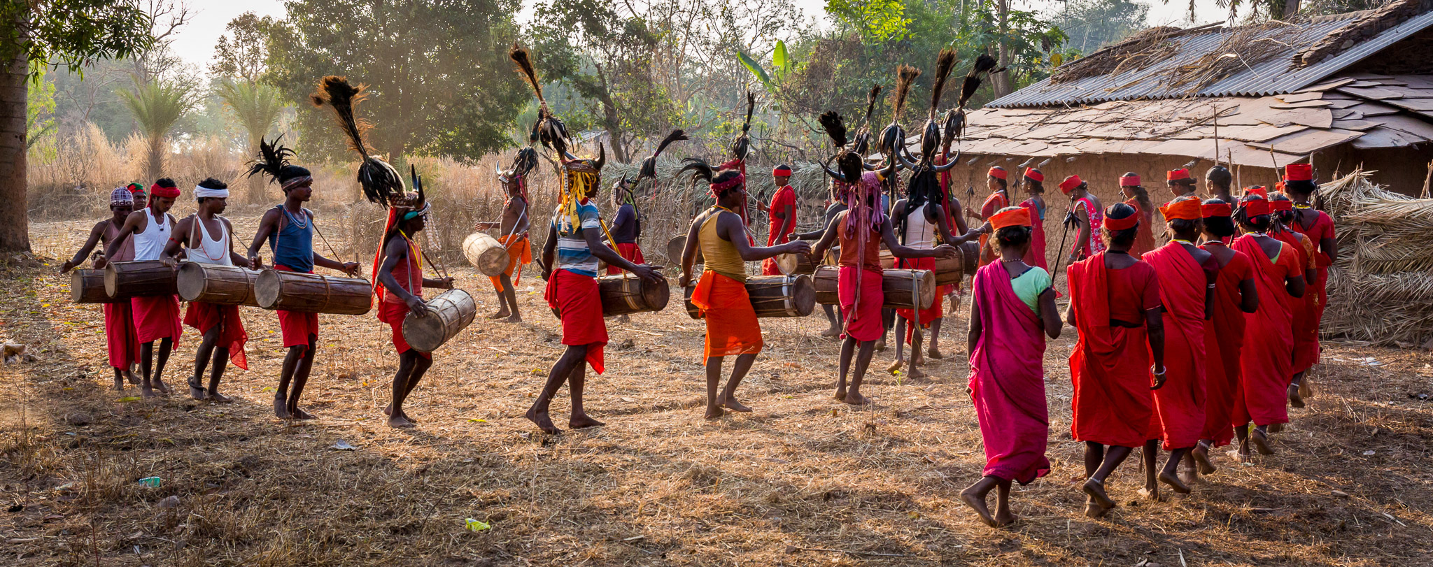 Gaur Maria (Bison Horn) tribal dance in Nainar