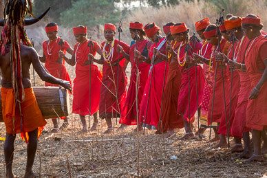 Gaur Maria (Bison Horn) tribal dance in Nainar