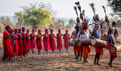 Gaur Maria (Bison Horn) tribal dance in Nainar