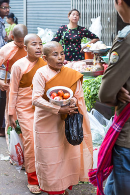 Morning collection of alms by Buddhist nuns in Chinese market
