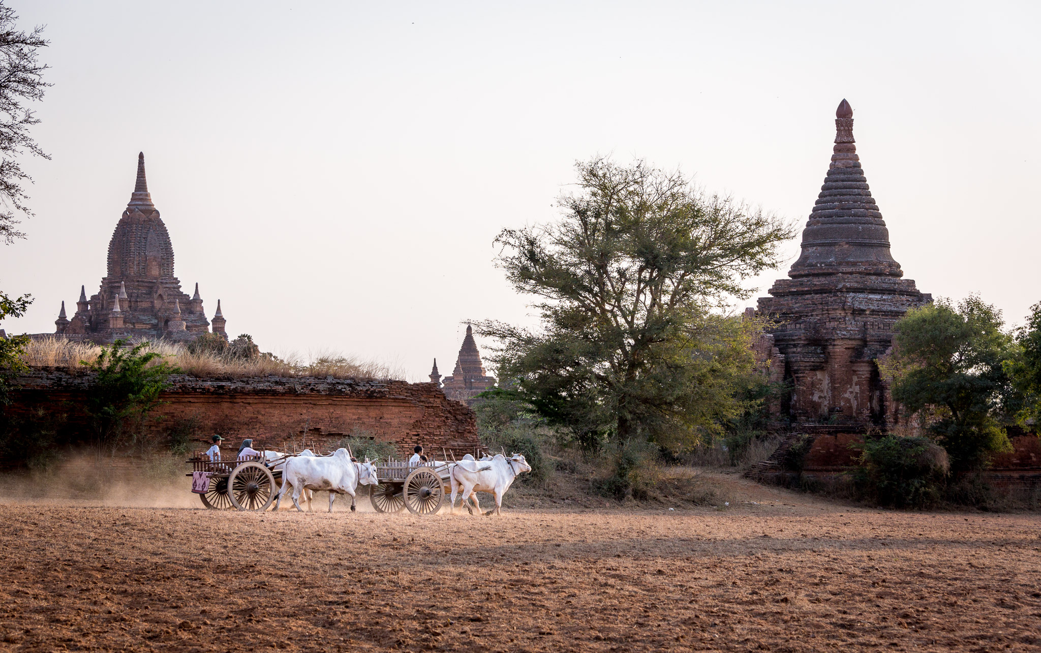 Dusk in Bagan