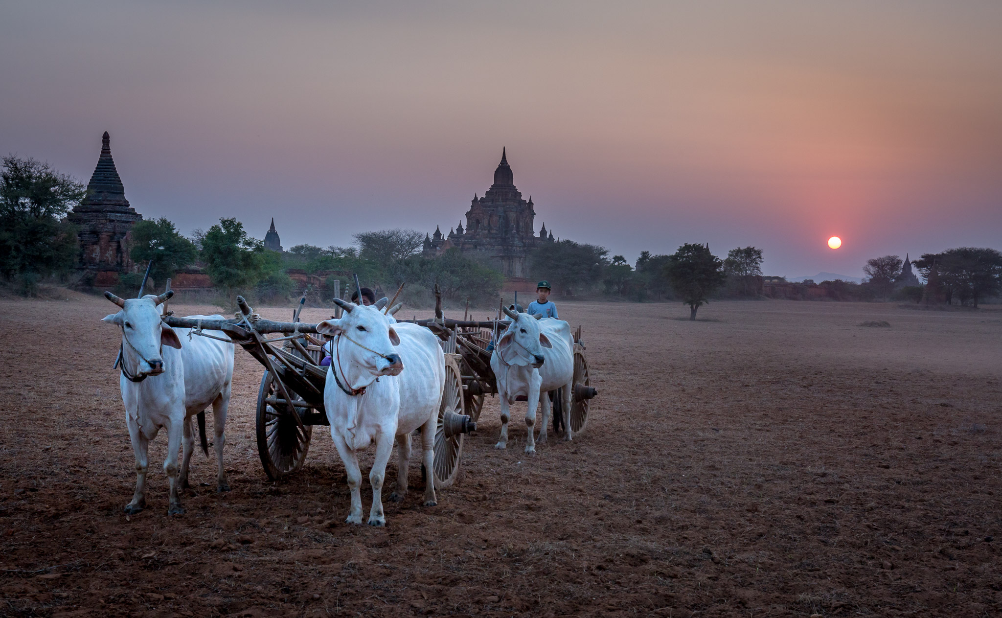 Sunset in Bagan