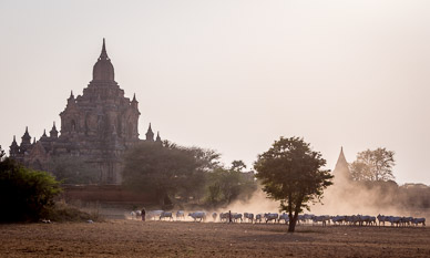 Dusk in Bagan