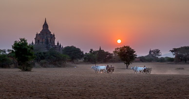 Sunset in Bagan