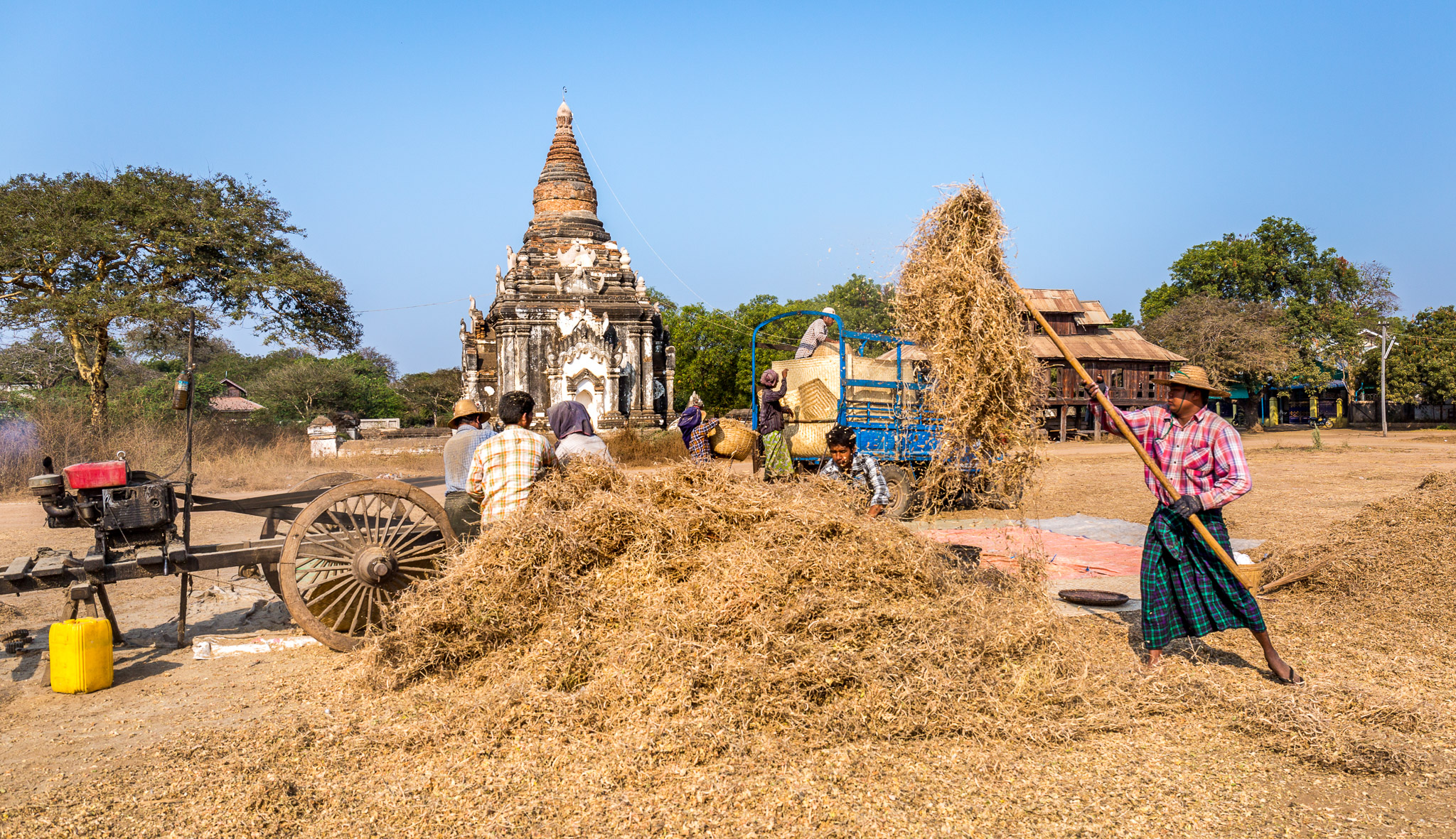 Threshing