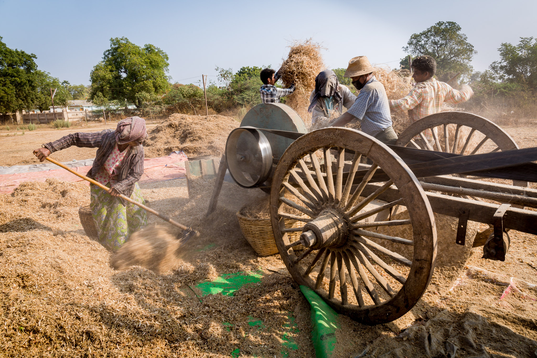 Threshing