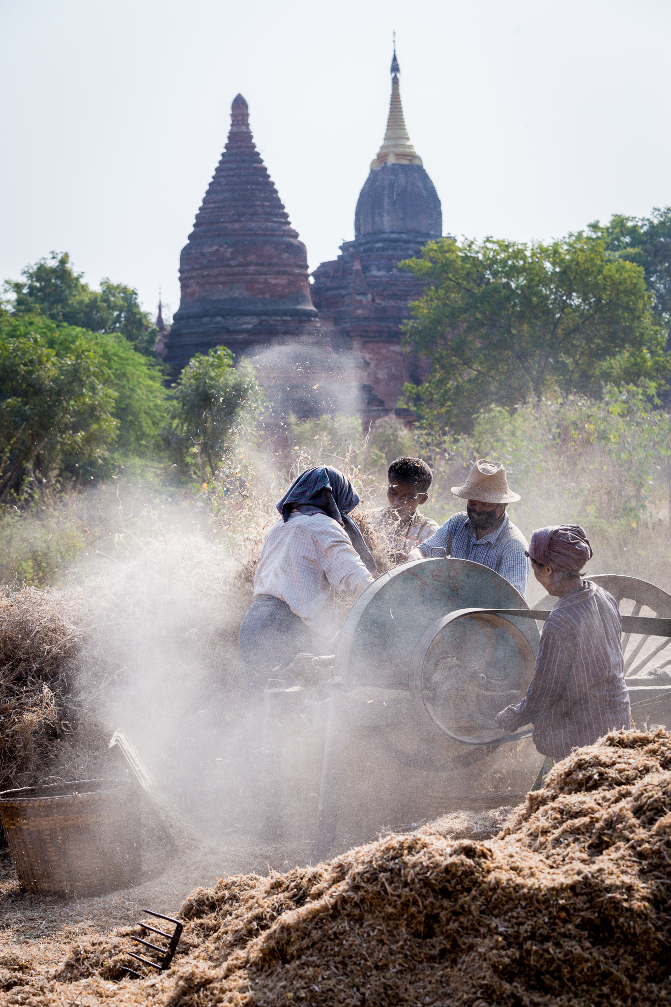 Threshing