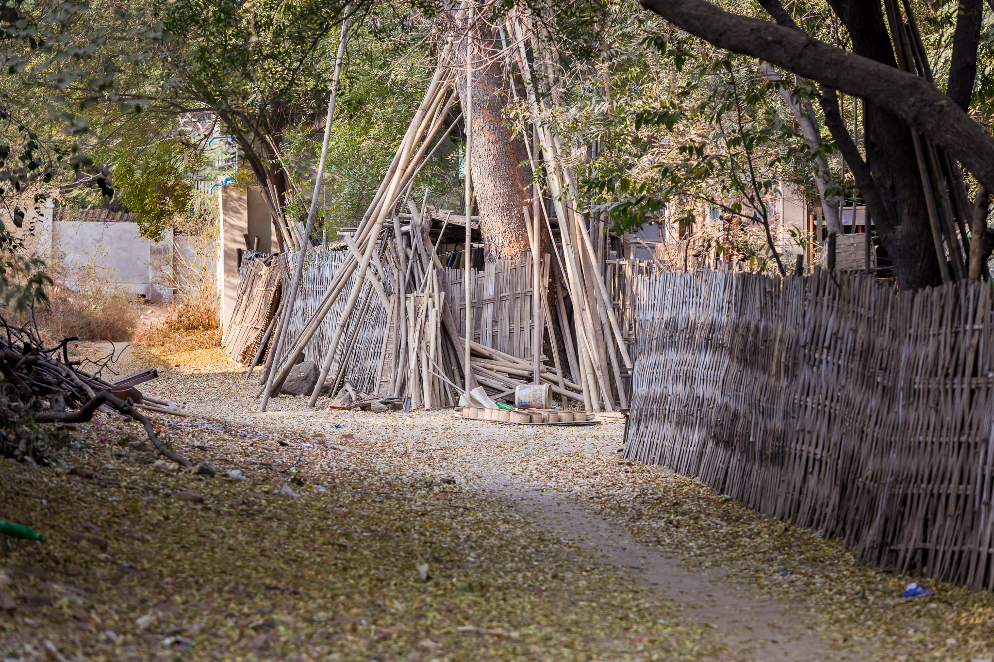 Bamboo village