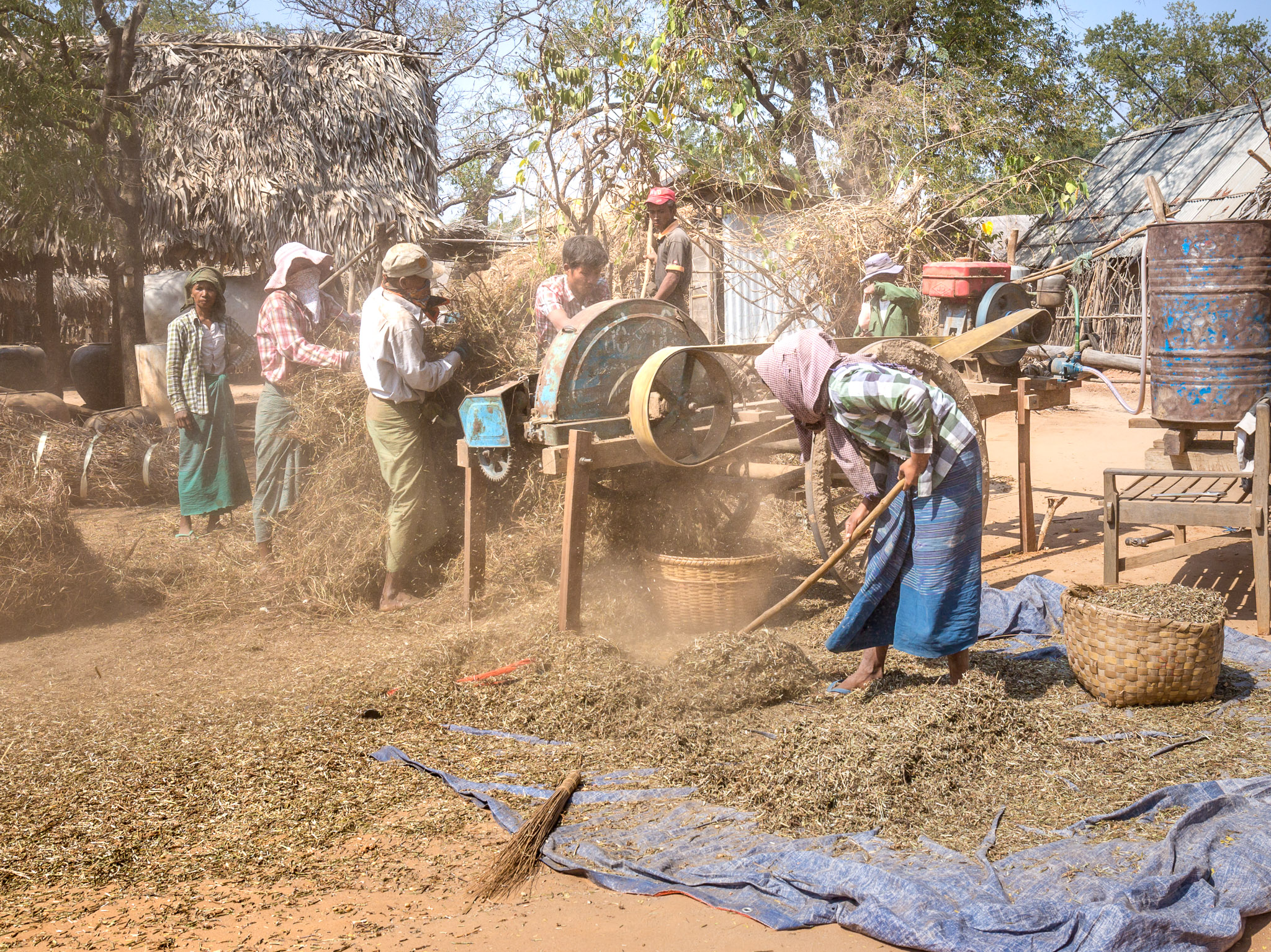 Threshing