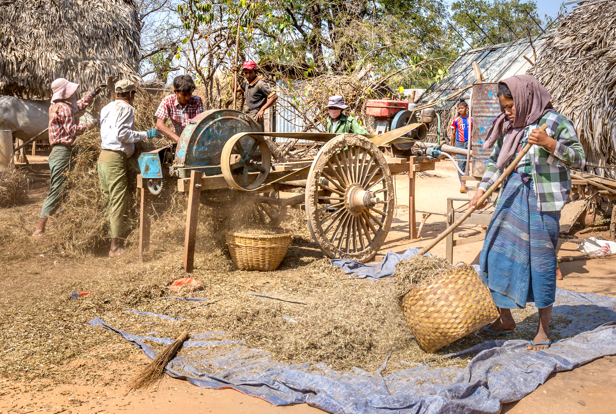 Threshing