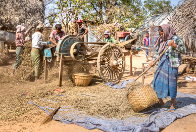 Threshing