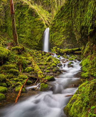 Mossy Grotto Falls