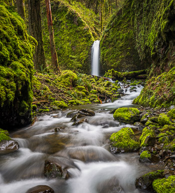 Mossy Grotto Falls