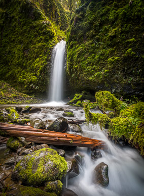 Mossy Grotto Falls