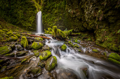 Mossy Grotto Falls