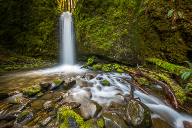 Mossy Grotto Falls