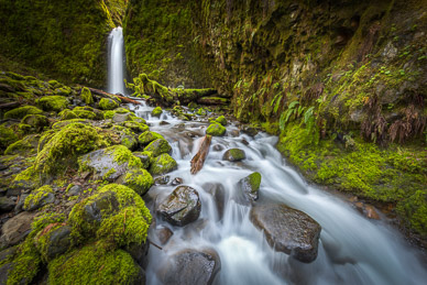 Mossy Grotto Falls