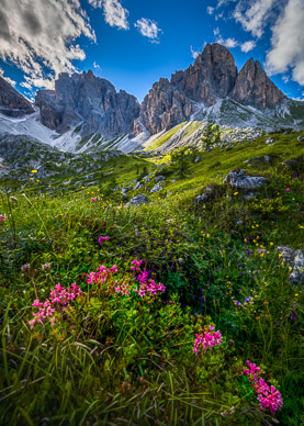 Propera Crest & Valley