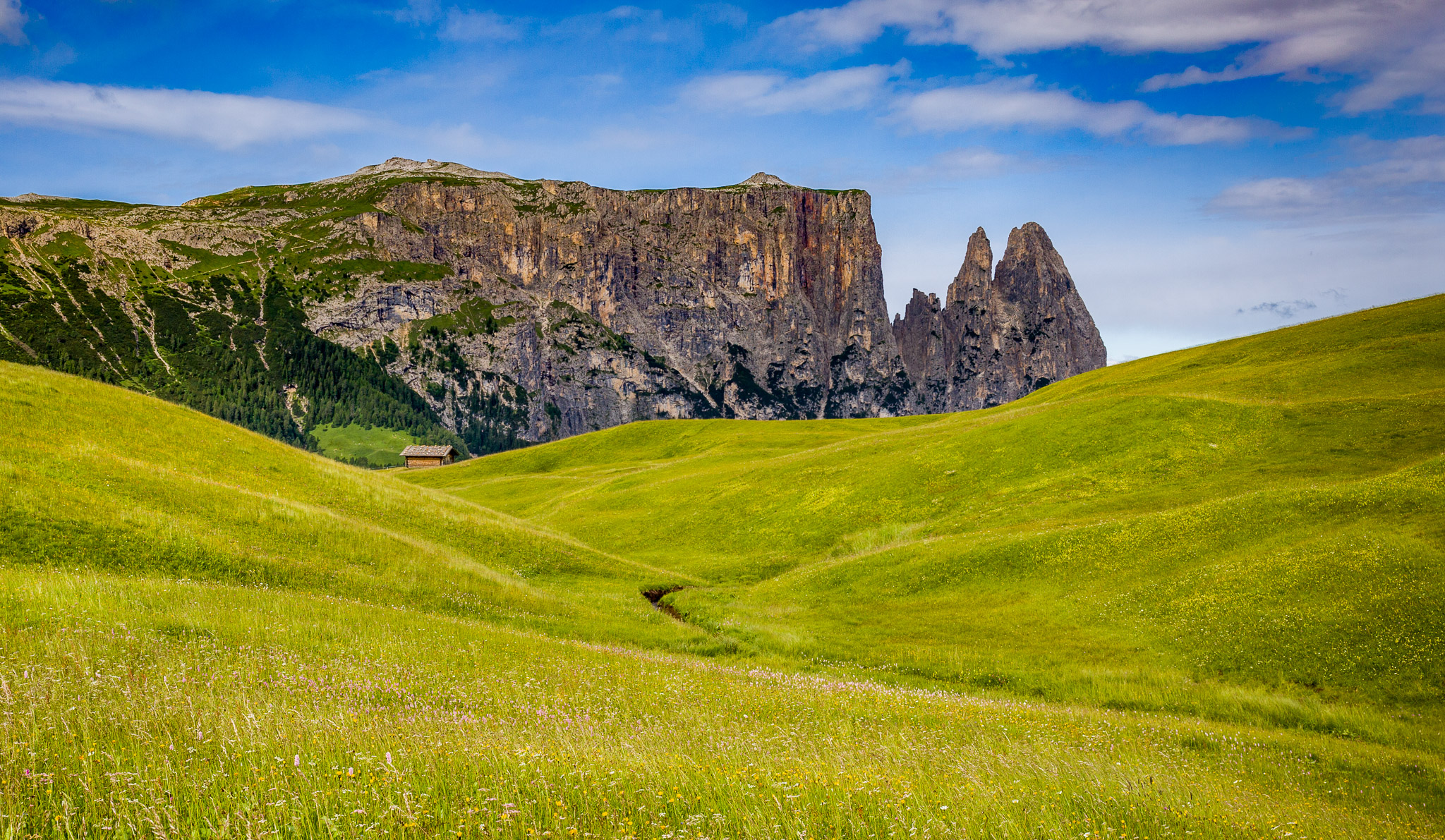 Sciliar Mountain from Alpe di Siusi