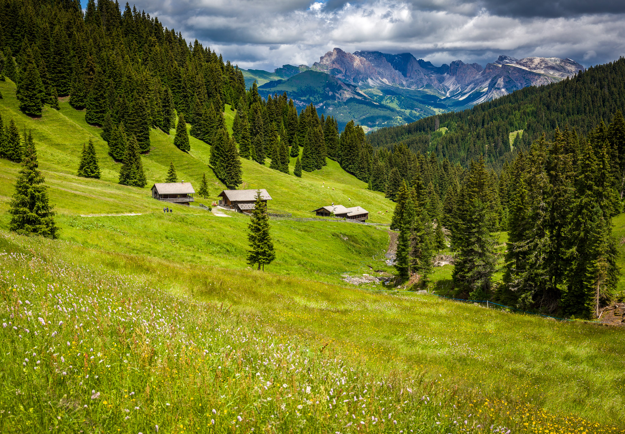 Trail down to Saltria