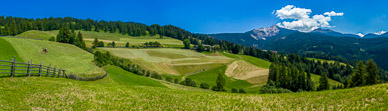 Fields outside Aldein, Weisshorn in distance