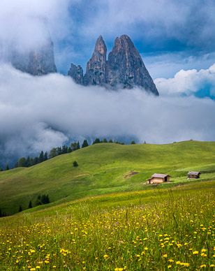 Sciliar Mountain from Alpe di Siusi
