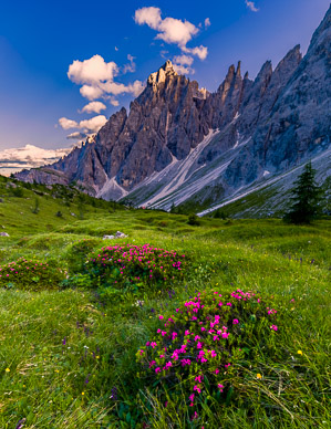 Propera Crest & Valley