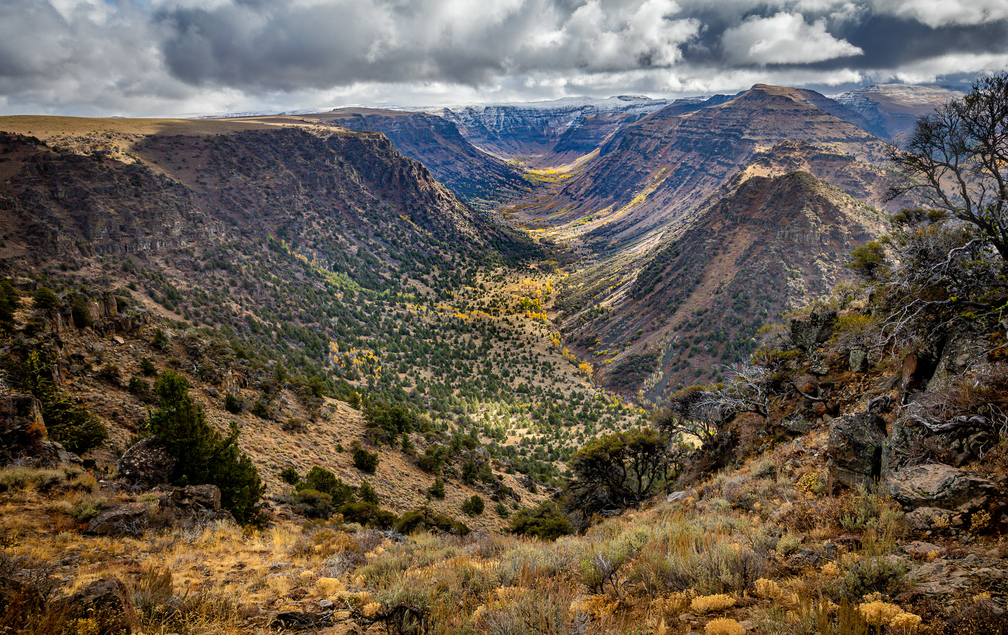 Steens Mountain's Big Indian Gorge