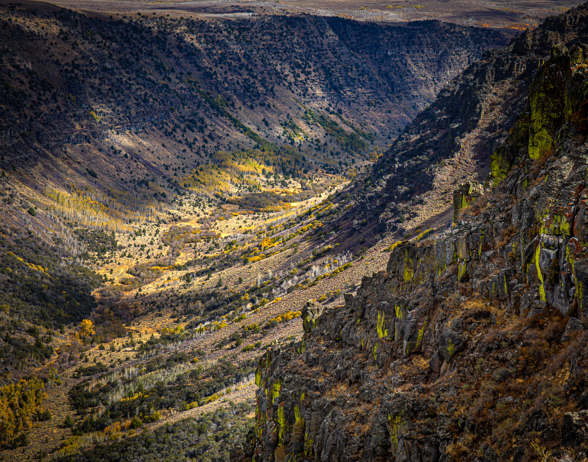 Steens Mountain's Little Blitzen Gorge