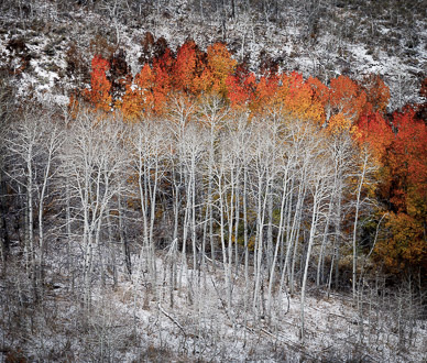 Steens Mountain's Fish Creek Autumn Color