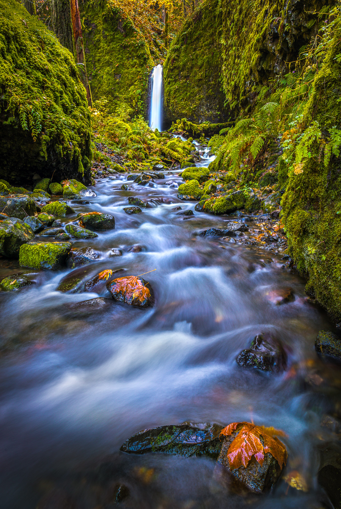 Mossy Grotto Falls, Columbia Gorge