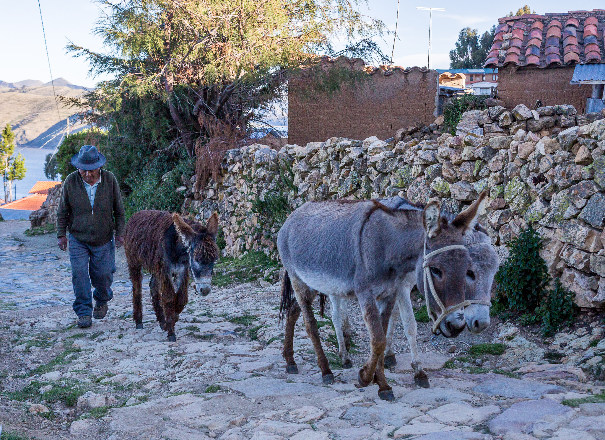 Transportation in Yumani, Isla del Sol